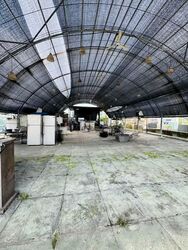 Ang Mo Kio Avenue 8 (D20), Factory #540183011